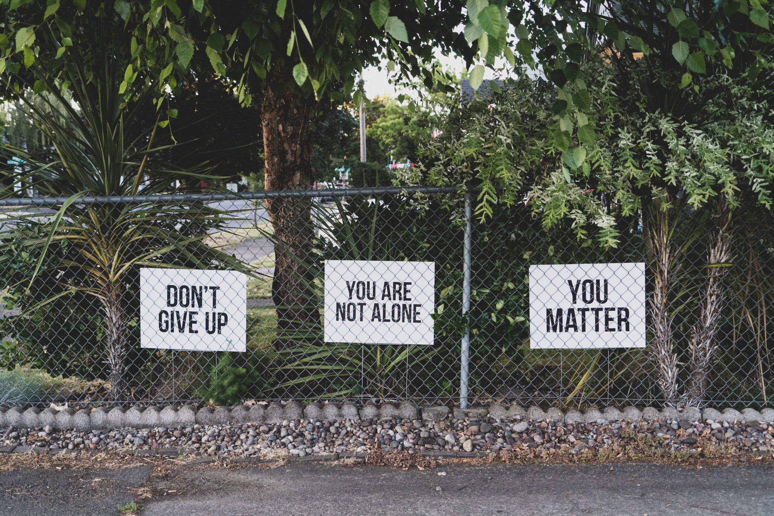 Image of words of encouragement, printed on cardboard signs on a chain link fence.